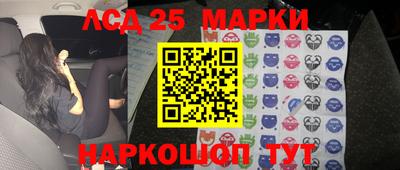 гидропоника Новозыбков