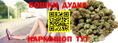 мдпв Новокубанск