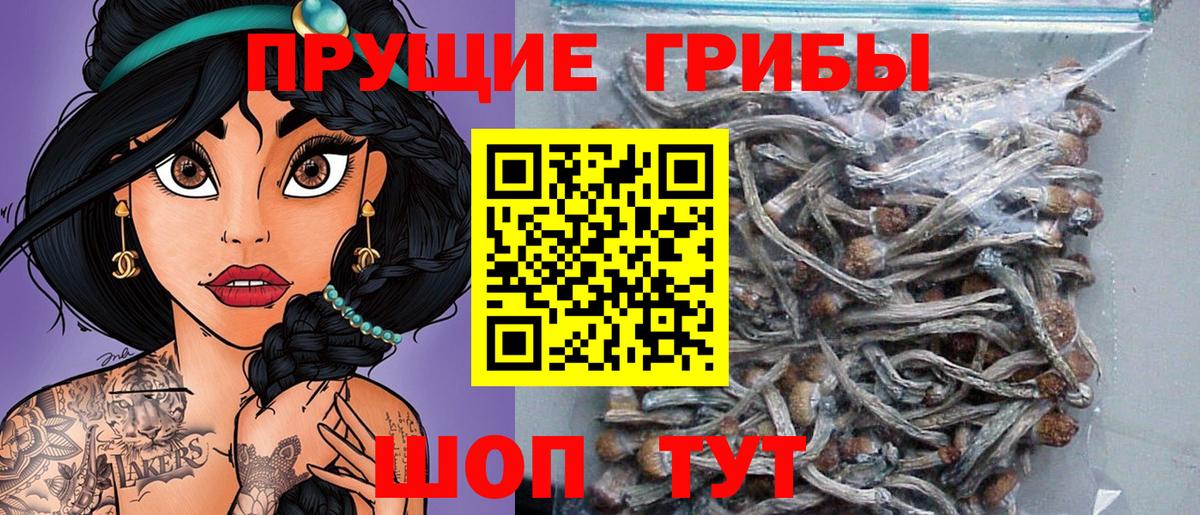 Галлюциногенные грибы прущие грибы  Вход с VPN  Дюртюли 